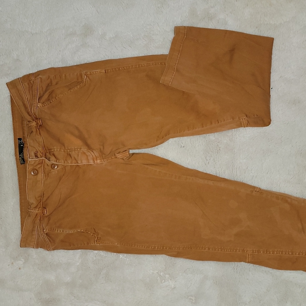 Prana Ankle Cropped Pants